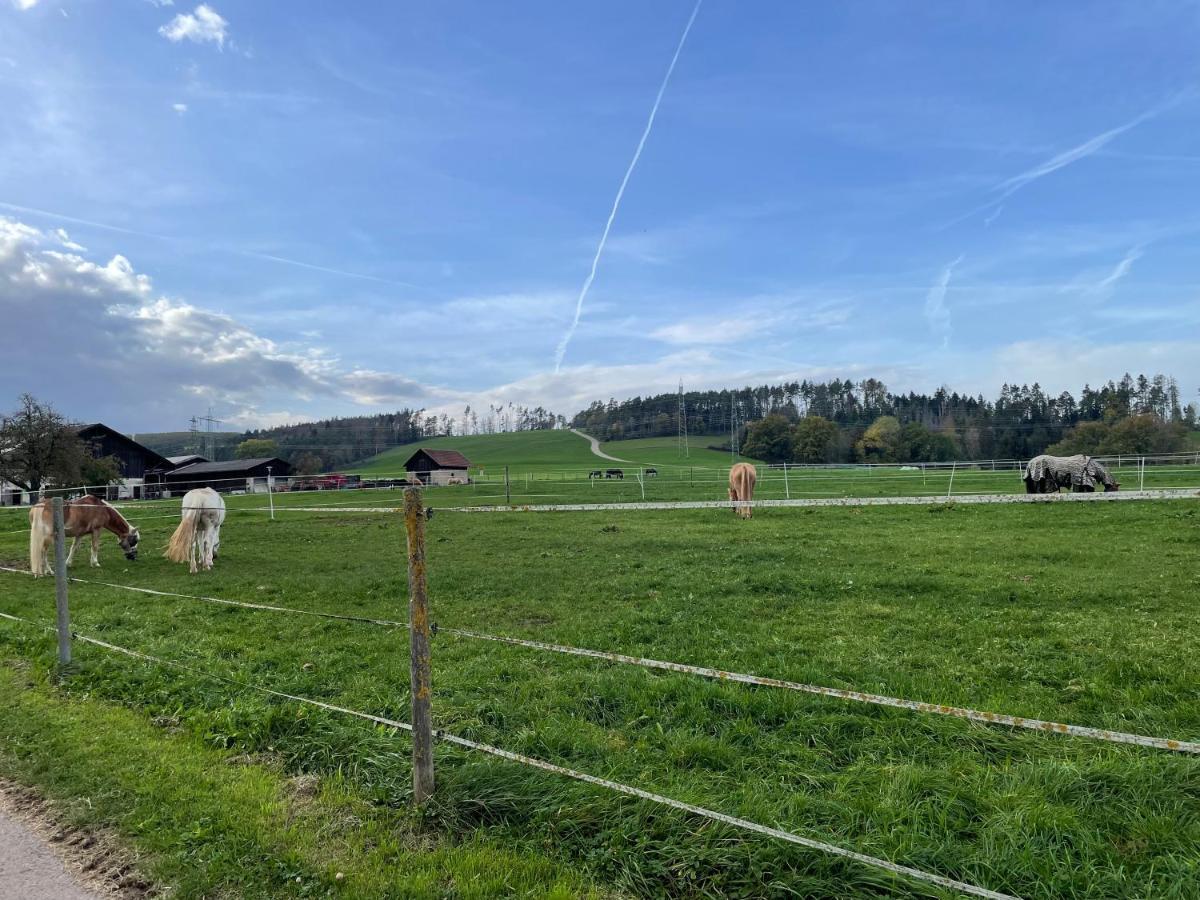 Ferien Im Schwarzwald - Ruhe & Naturverbunden Weilheim Esterno foto
