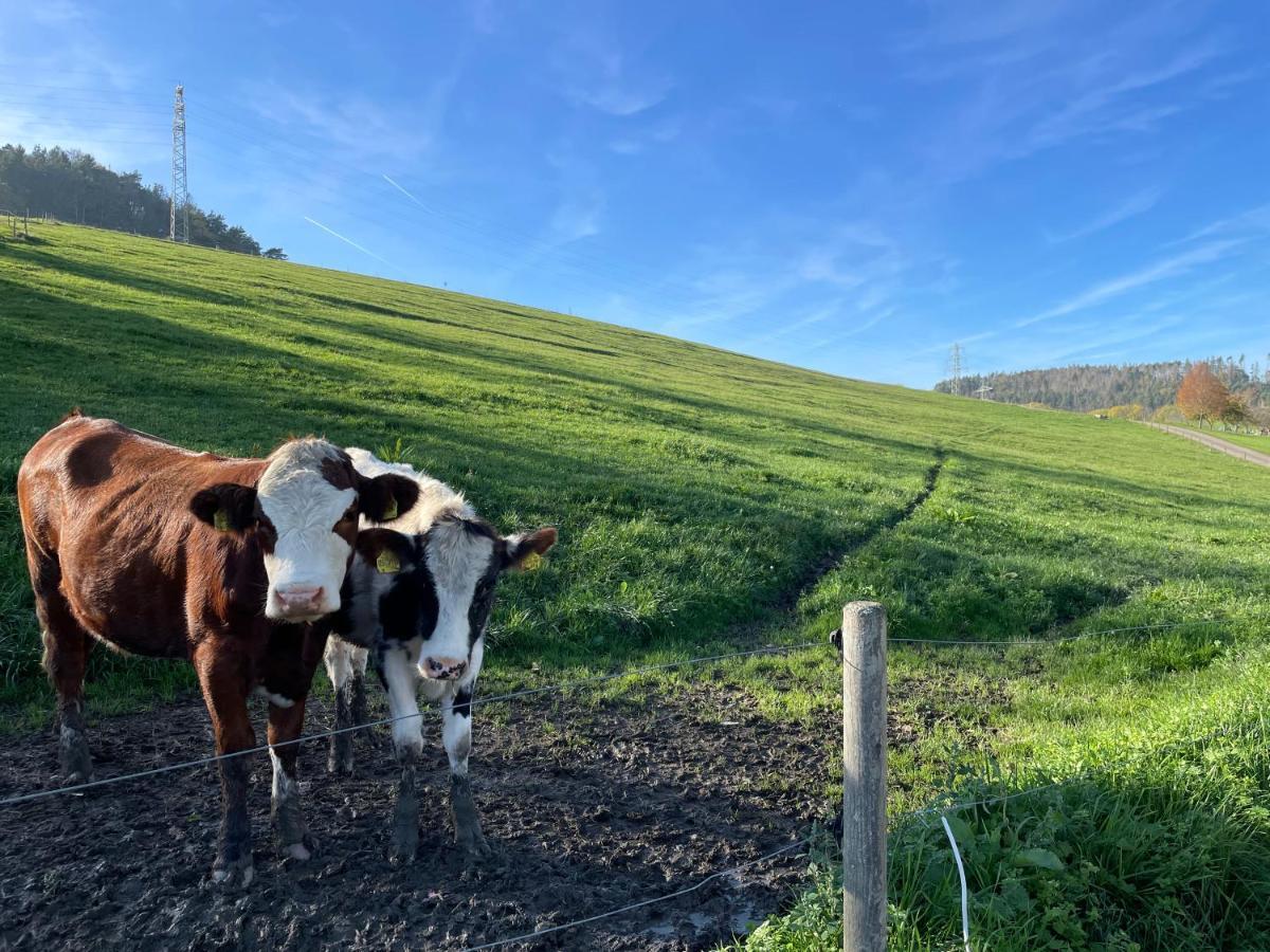 Ferien Im Schwarzwald - Ruhe & Naturverbunden Weilheim Esterno foto