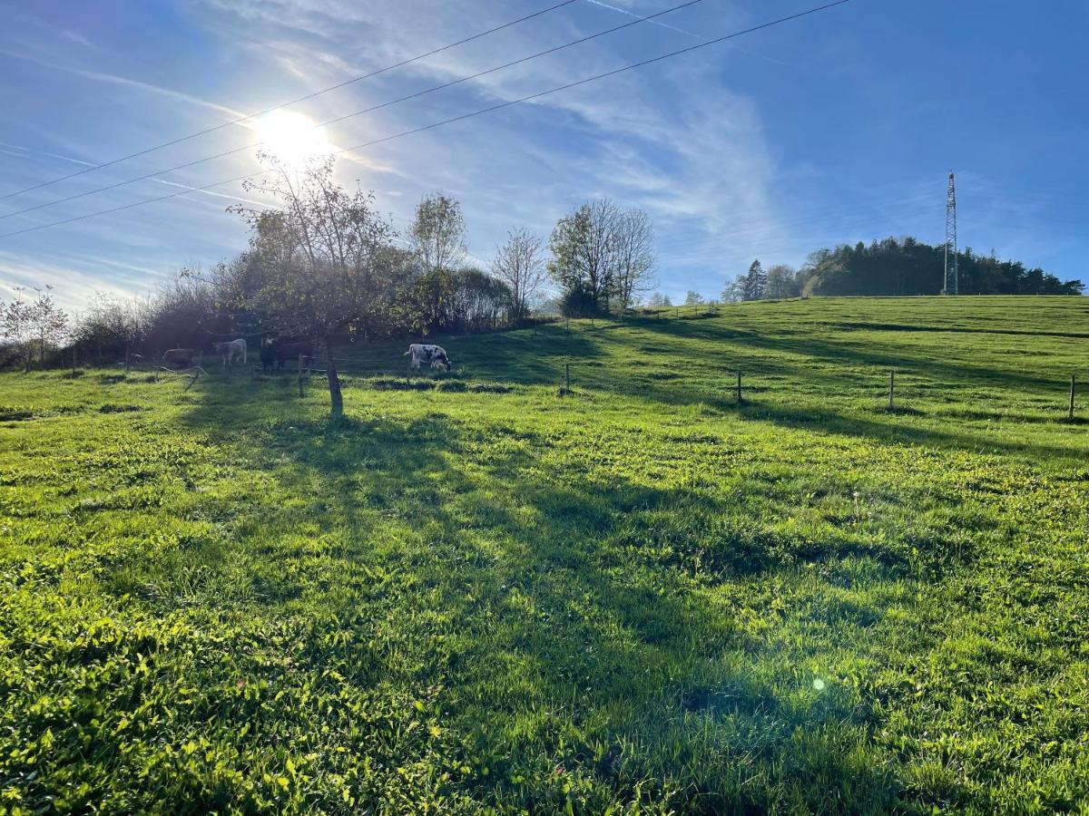 Ferien Im Schwarzwald - Ruhe & Naturverbunden Weilheim Esterno foto