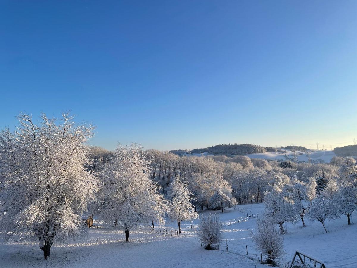 Ferien Im Schwarzwald - Ruhe & Naturverbunden Weilheim Esterno foto